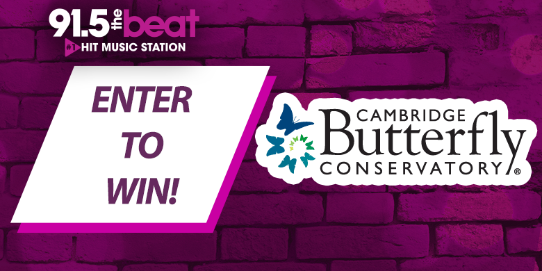 Win a Family Pass to Cambridge Butterfly Conservatory