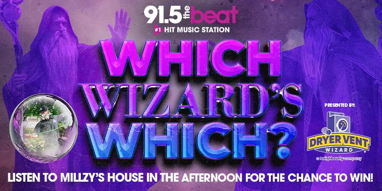 Which Wizard’s Which? Presented by Dryer Vent Wizard